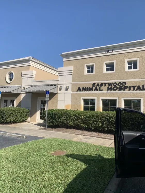 Eastwood Animal Hospital, Florida, Orlando